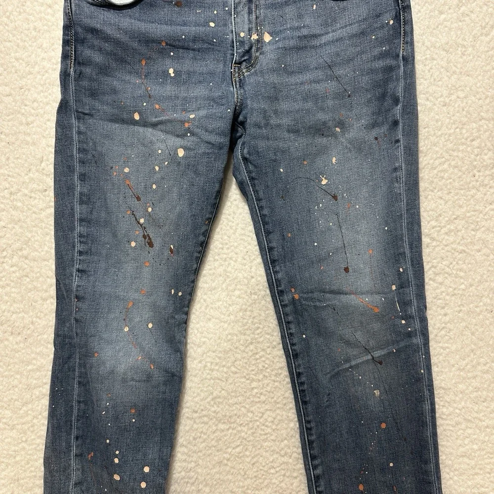Levis levis 511