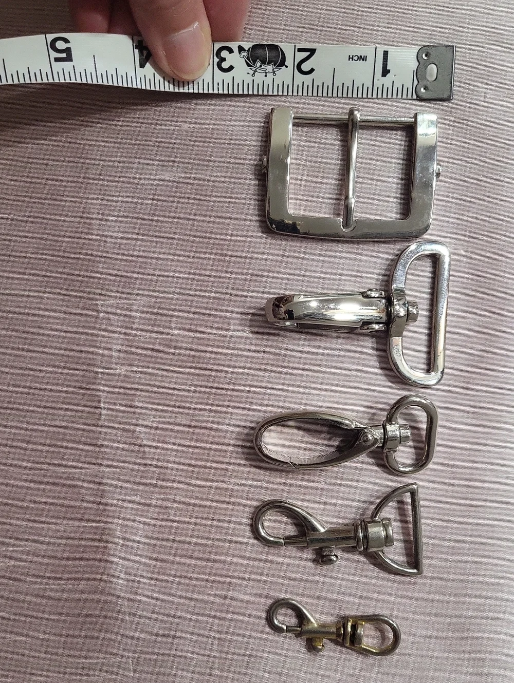N/A assorted bucklea
