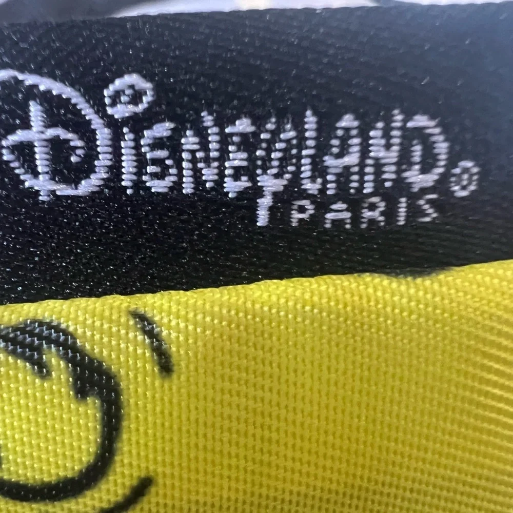 DISNEYLAND PARIS Mickey Mouse backpack with inner pocket and zip