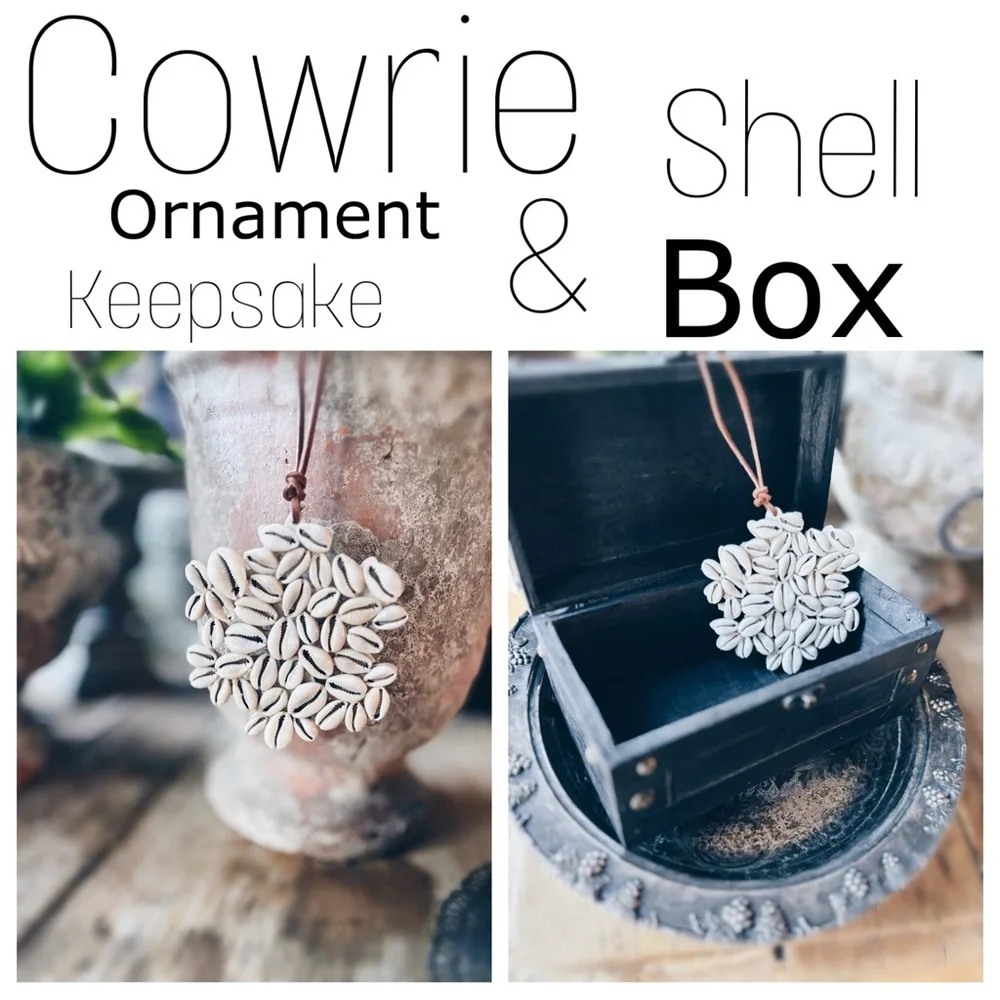 Ornament / Cowrie Shell / Keepsake Box