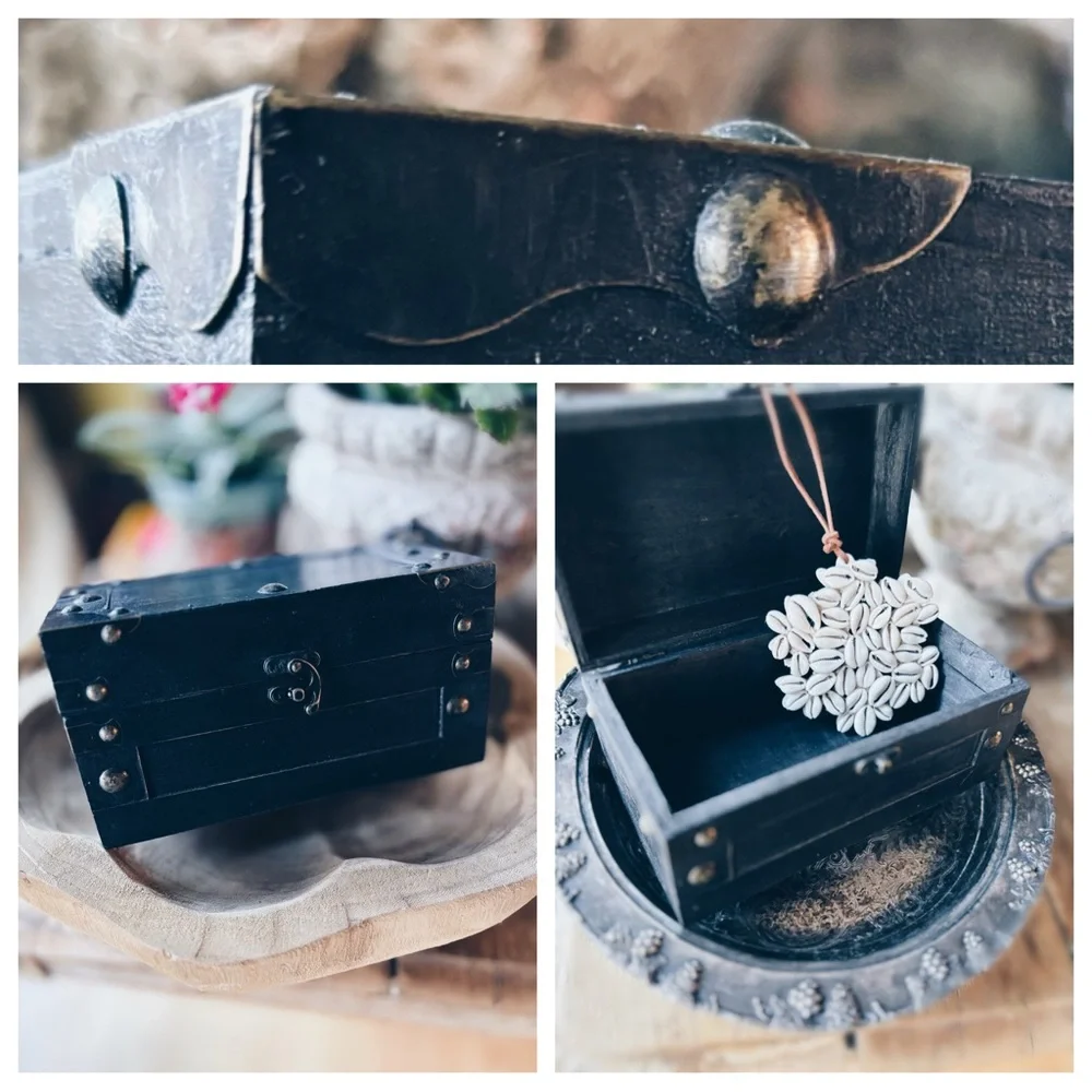 Ornament / Cowrie Shell / Keepsake Box