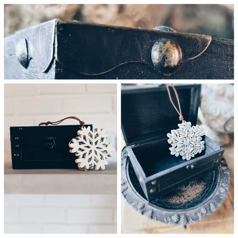 Ornament / Cowrie Shell / Keepsake Box