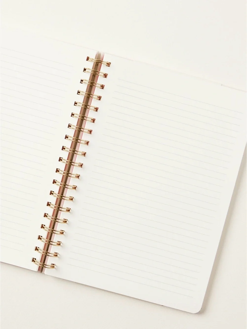 Anthropologie papier spiral