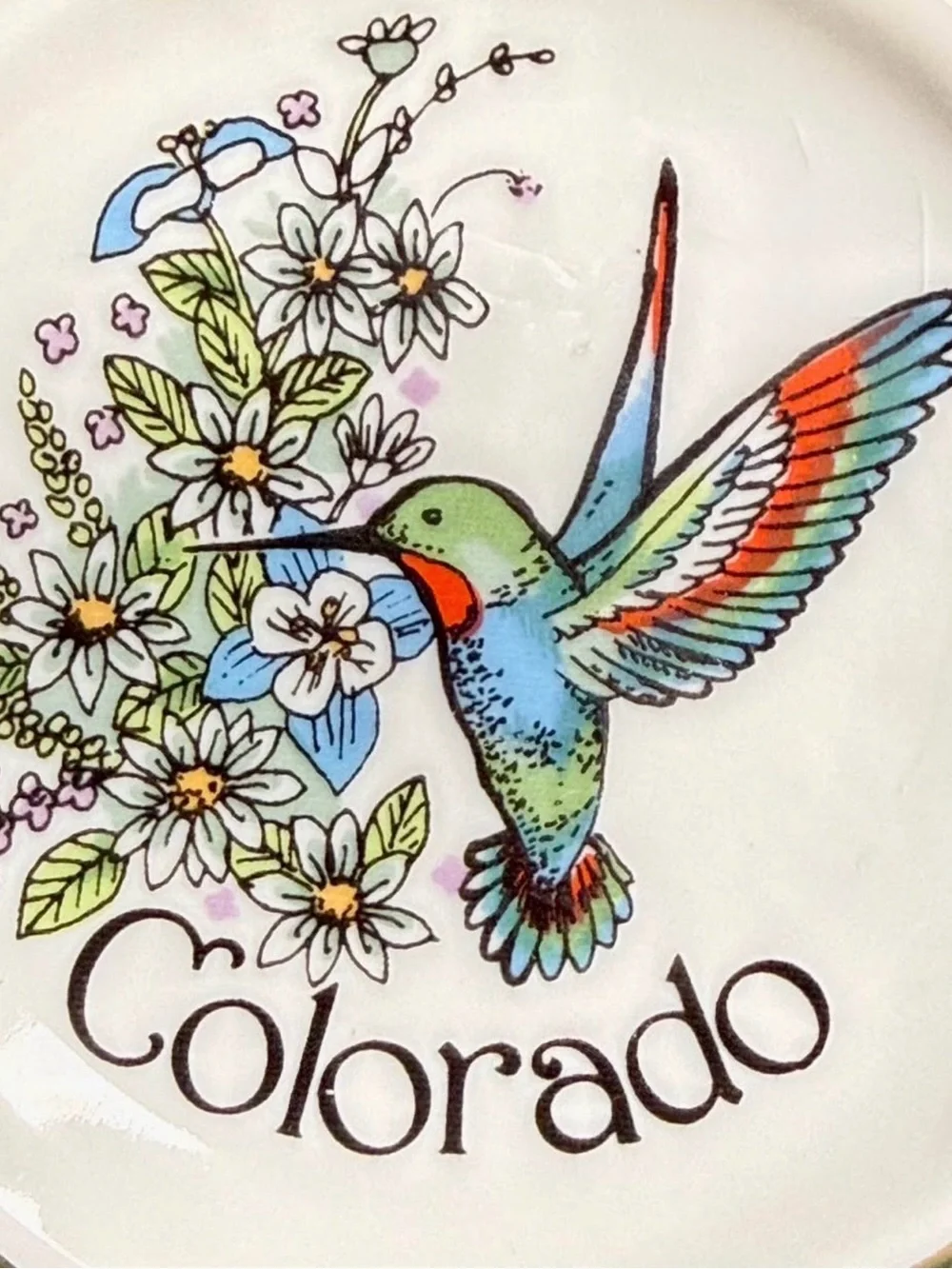 Colorado Hummingbird Decorative Plate with Floral Design