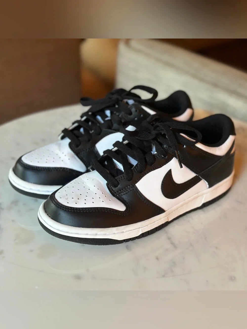 Nike Dunk Low Big Kid Sneakers