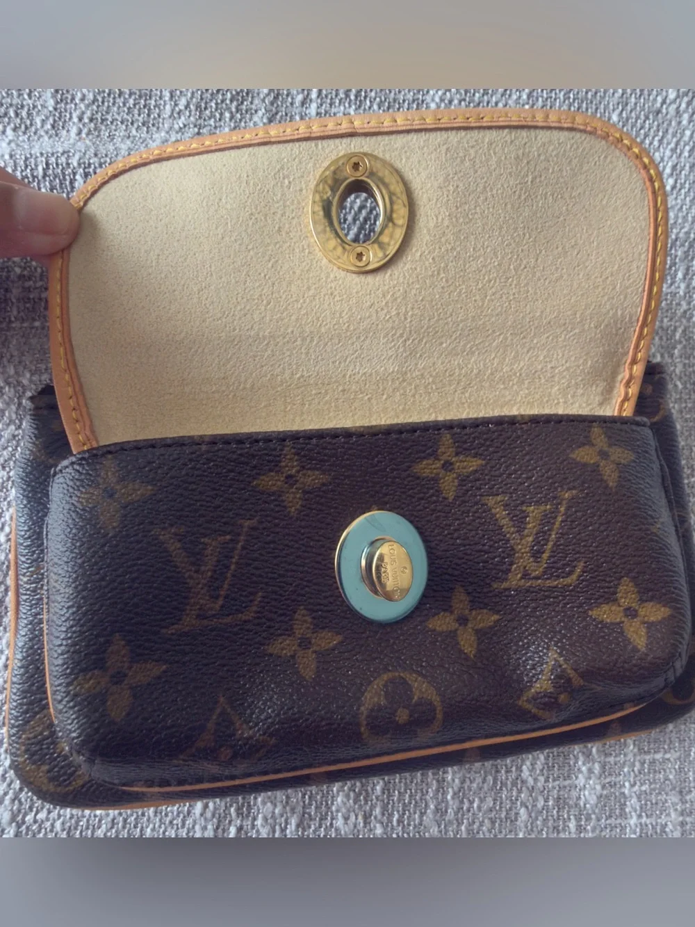 Louis Vuitton iconic lv