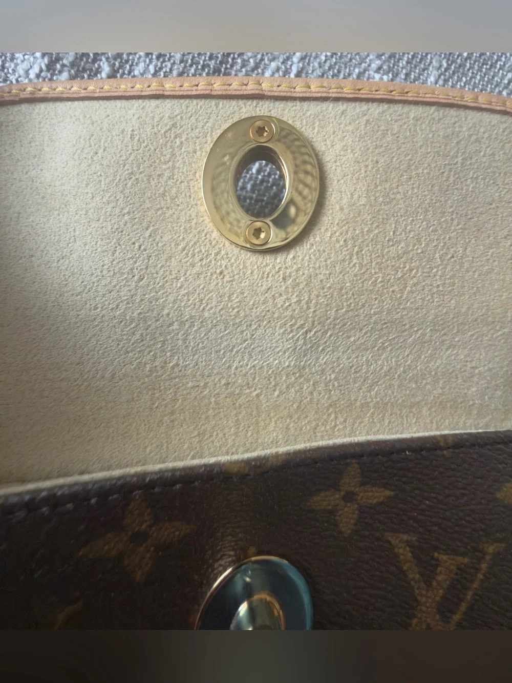 Louis Vuitton iconic lv