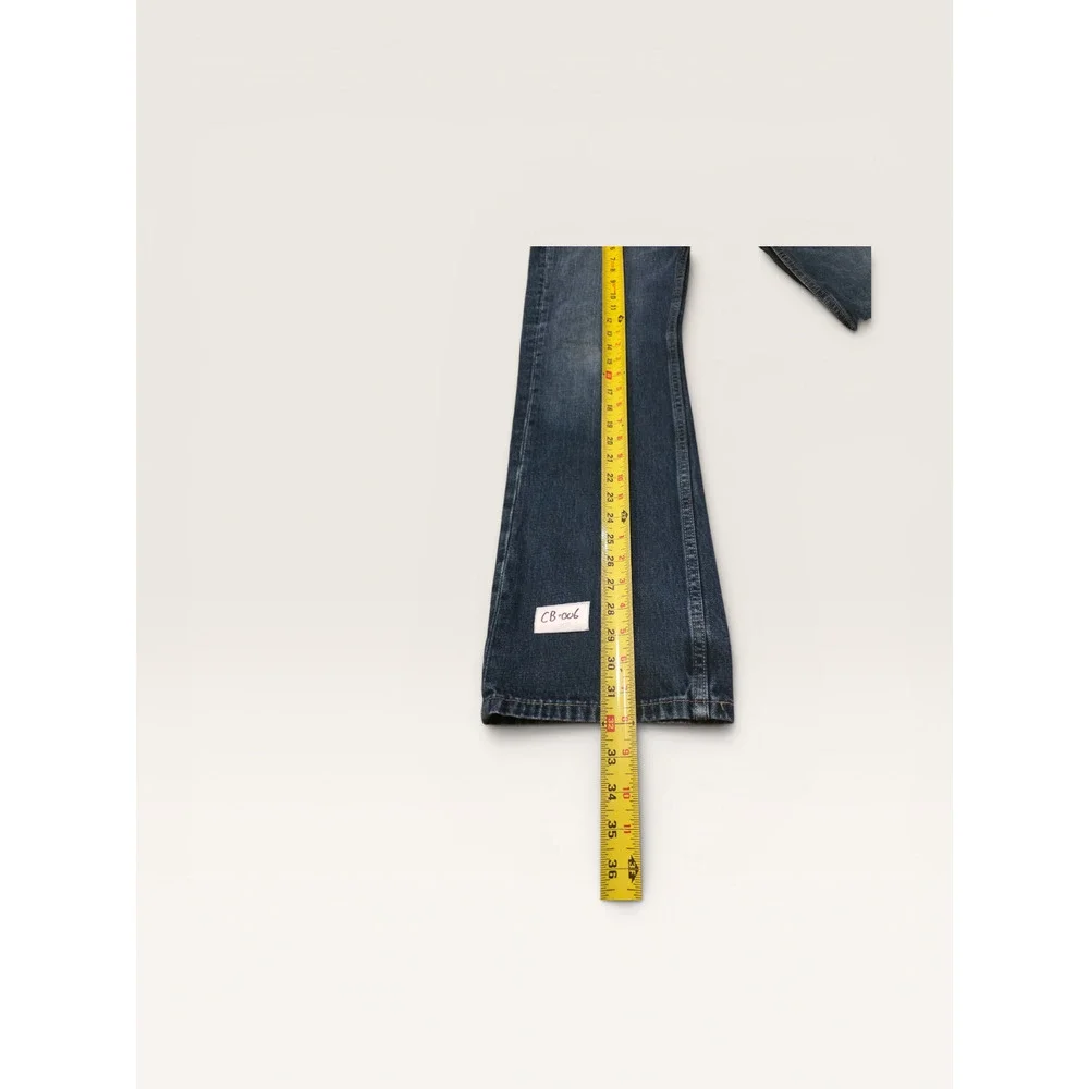Levis levis 527