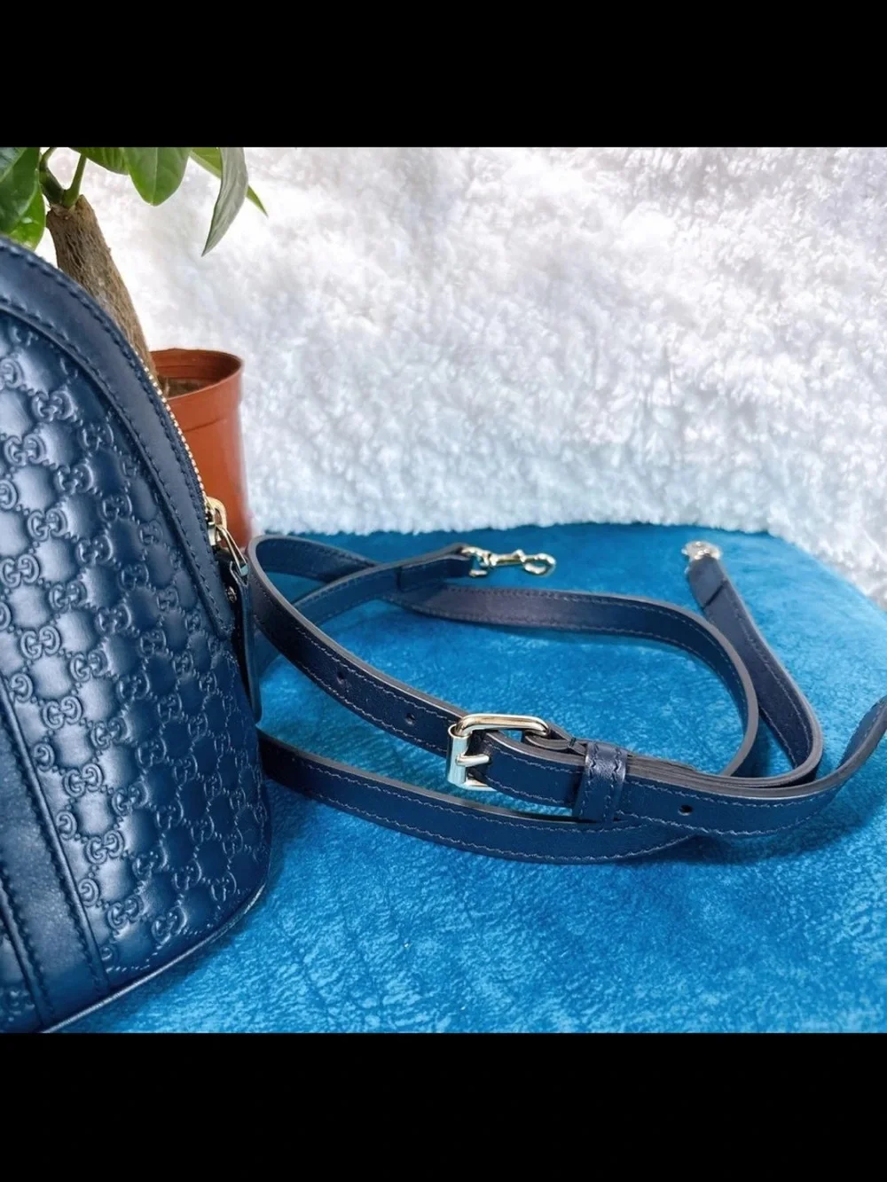 Gucci sophisticated dome