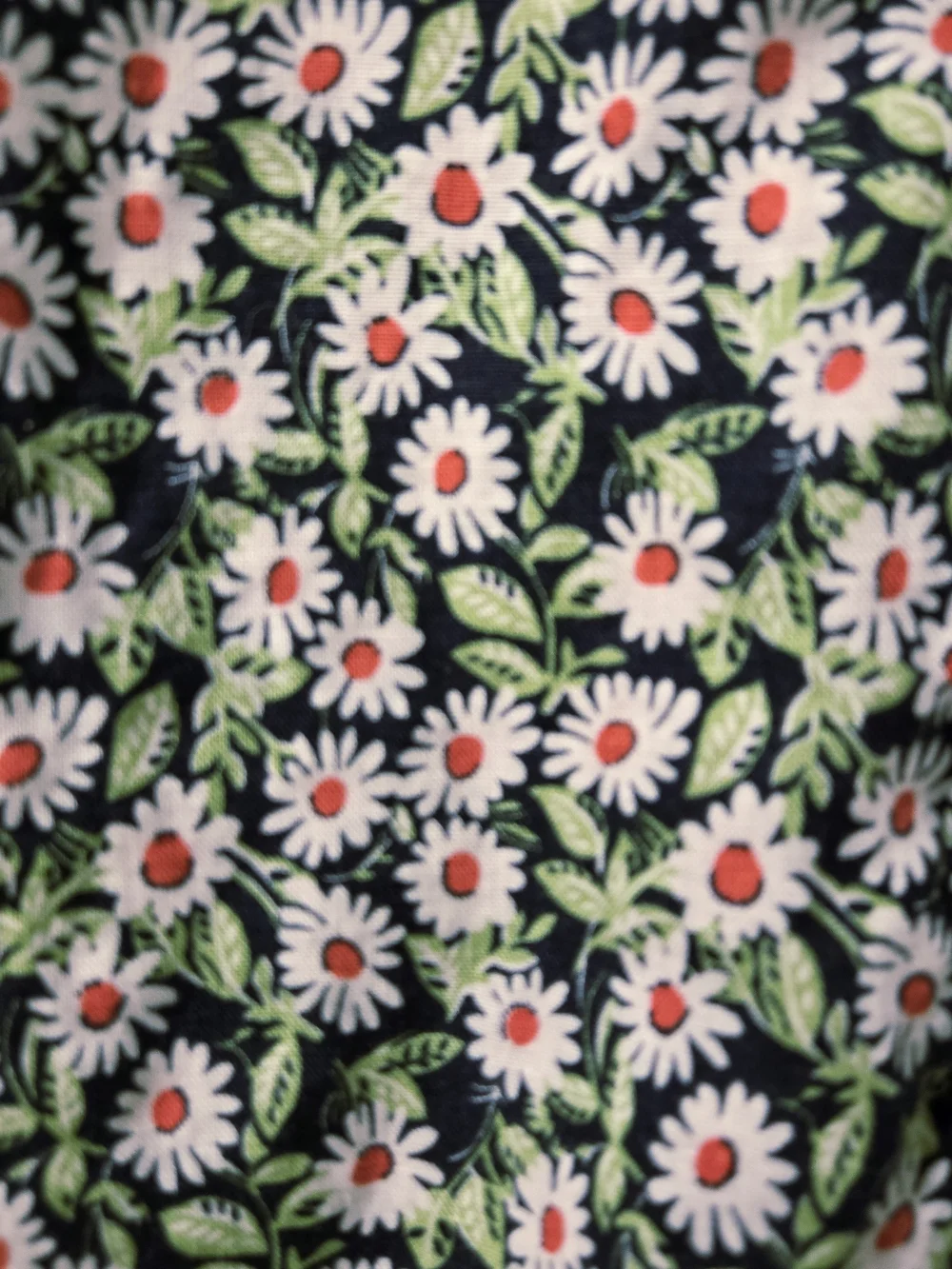 J. Crew short sleeve