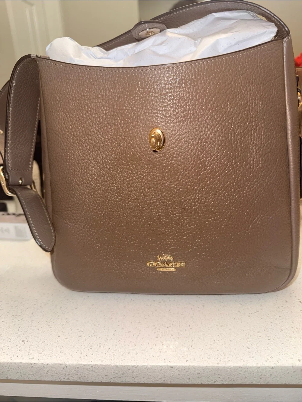 Coach leather taupe emblem