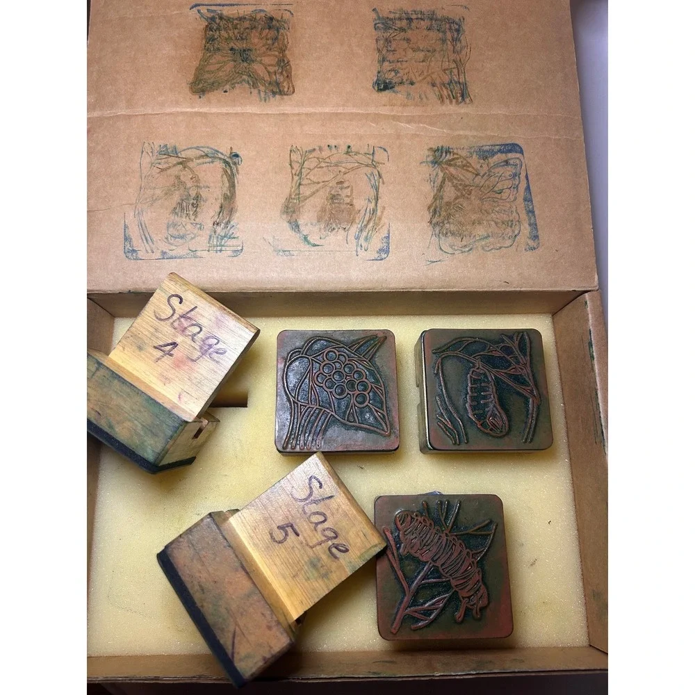 5 Butterfly Life Cycle Wood Mounted Rubber Stamp Homeschool Science Vintage
