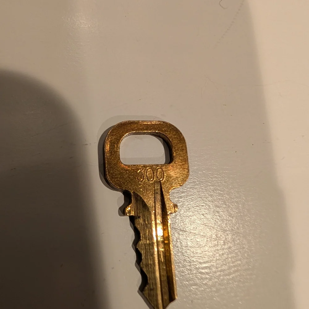 Louis Vuitton authentic louis