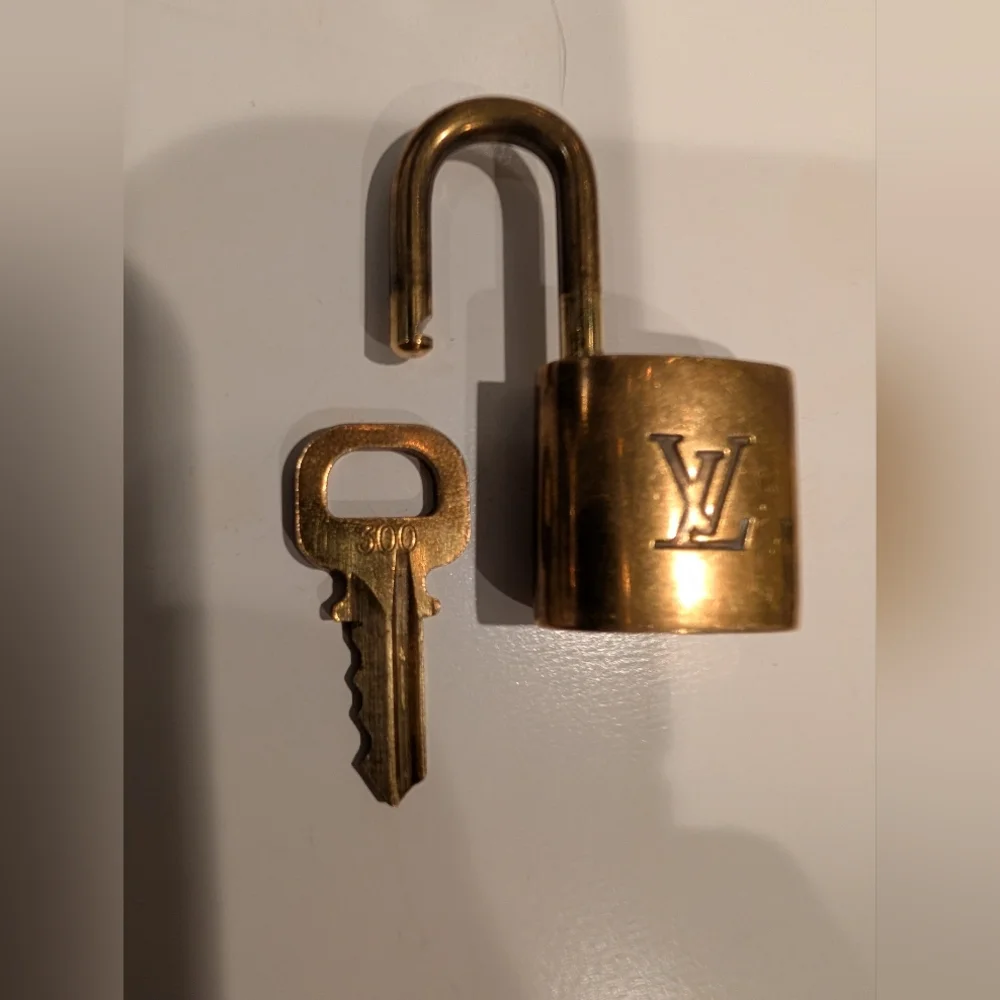 Louis Vuitton authentic louis