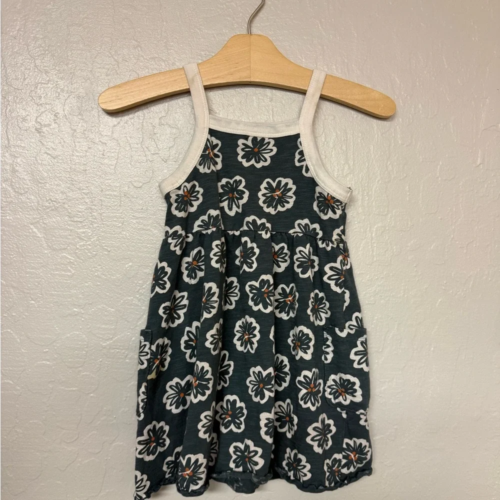 Little Co. follow us
