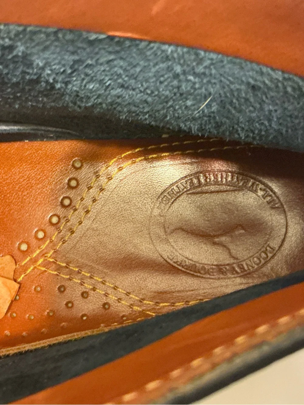 Dooney & Bourke dooney bourke