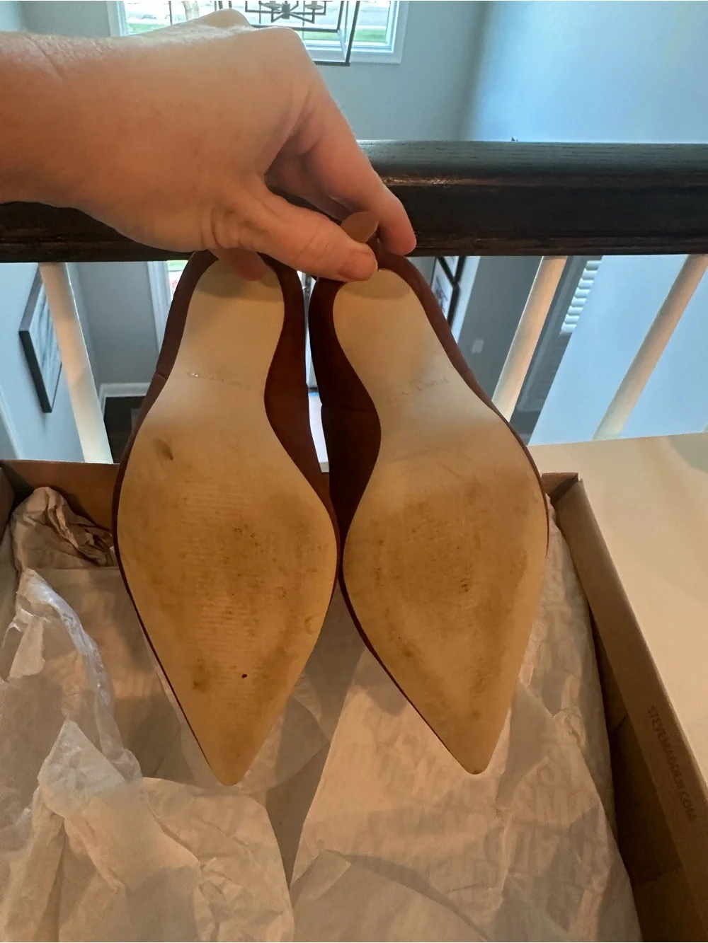 Steve Madden sleek pointed