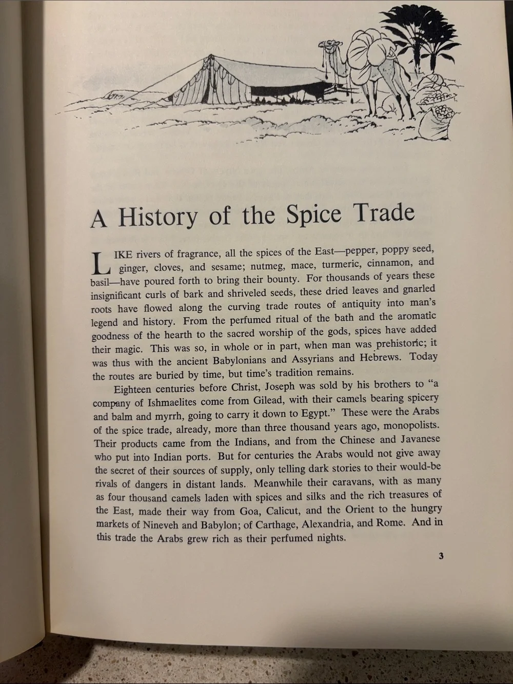 The Spice Cookbook vintage cookbook