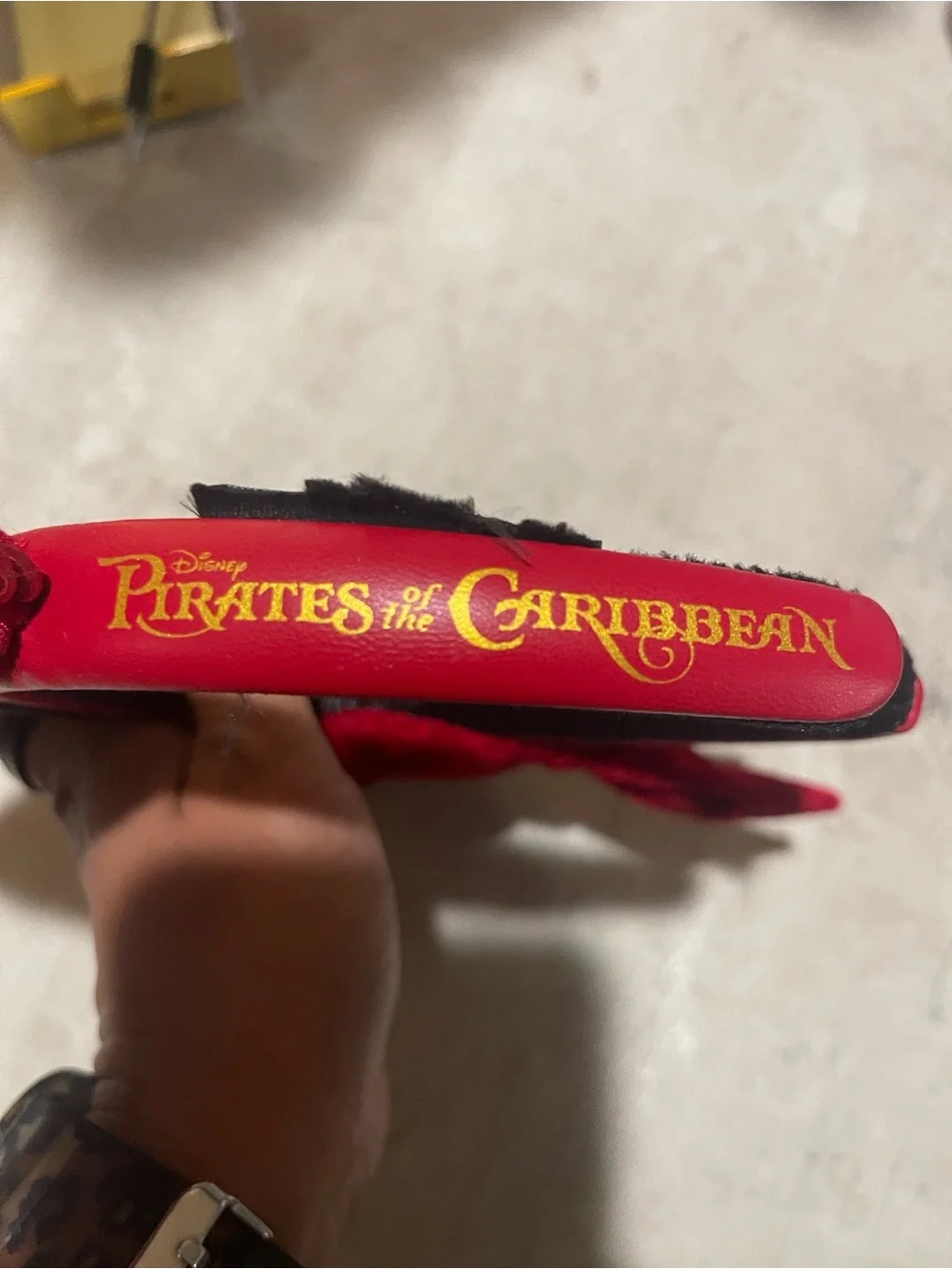 Disney themed pirate