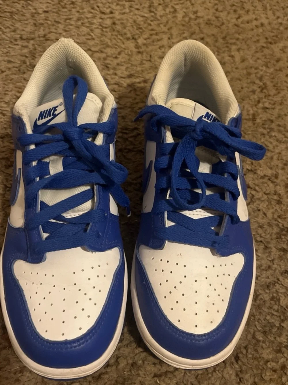 Nike low profile