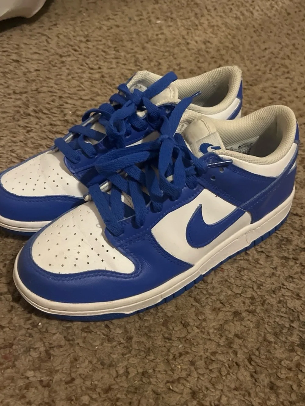 Nike low profile