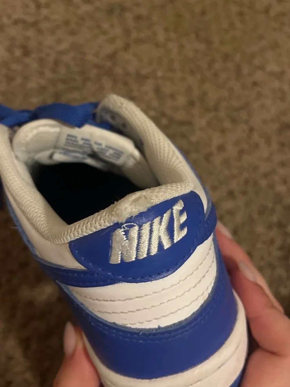 Nike low profile