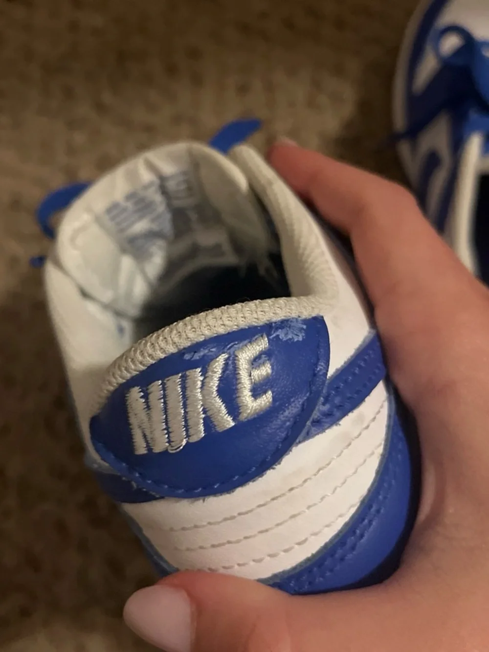 Nike low profile
