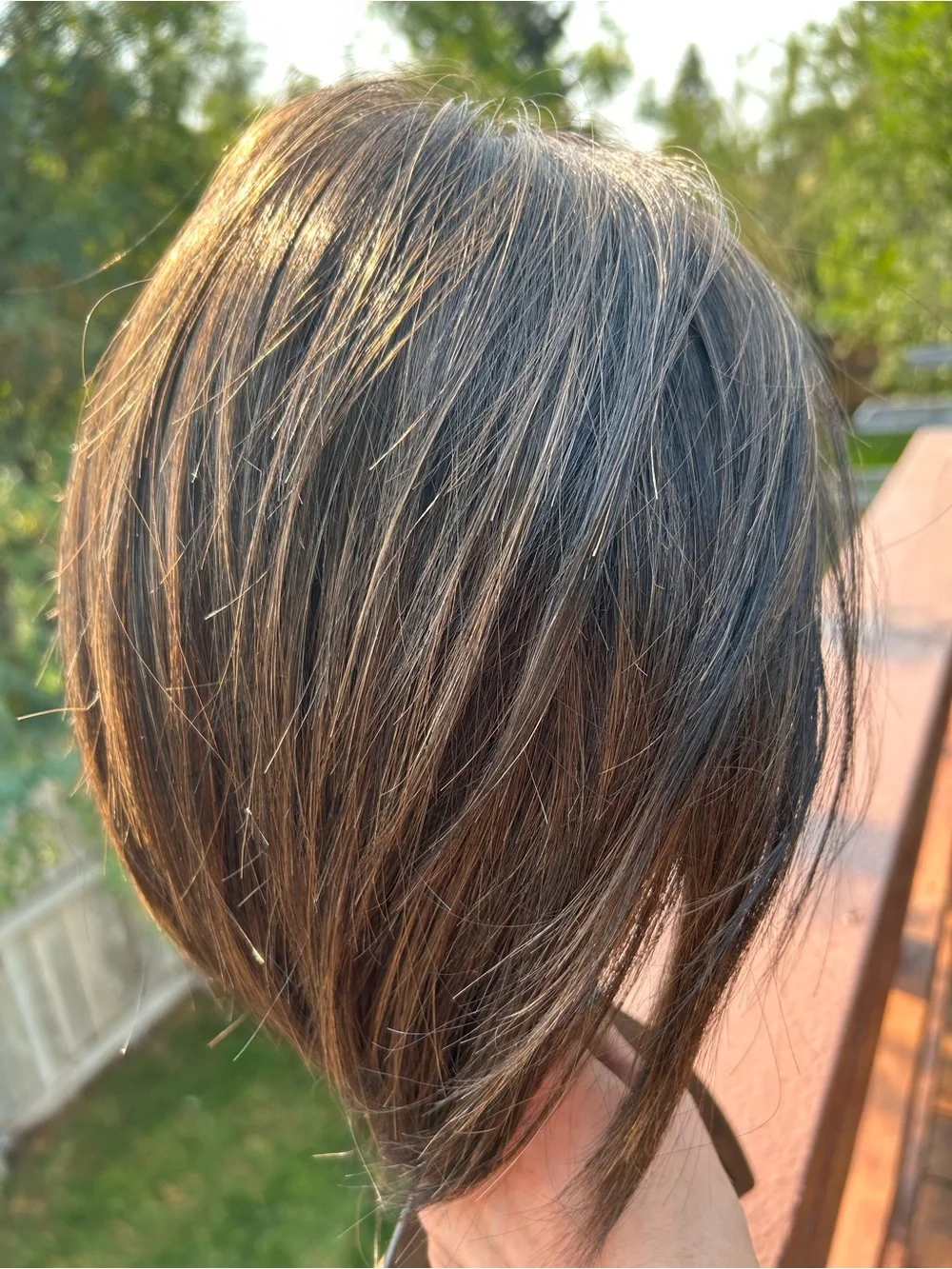 Raquel Welch Wig / Straight Up with a Twist ELITE