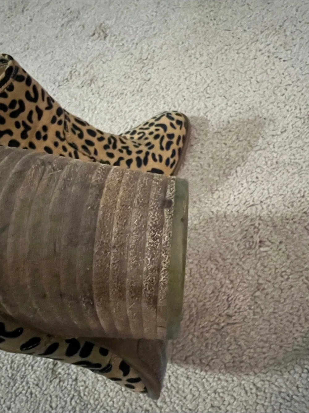Carlos Santana bold leopard