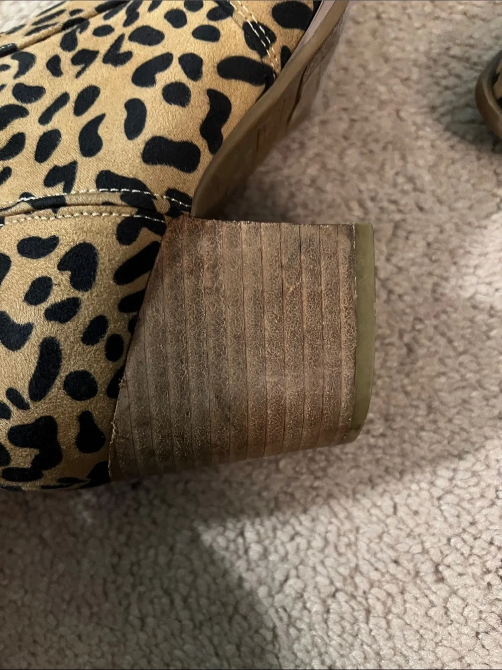 Carlos Santana bold leopard