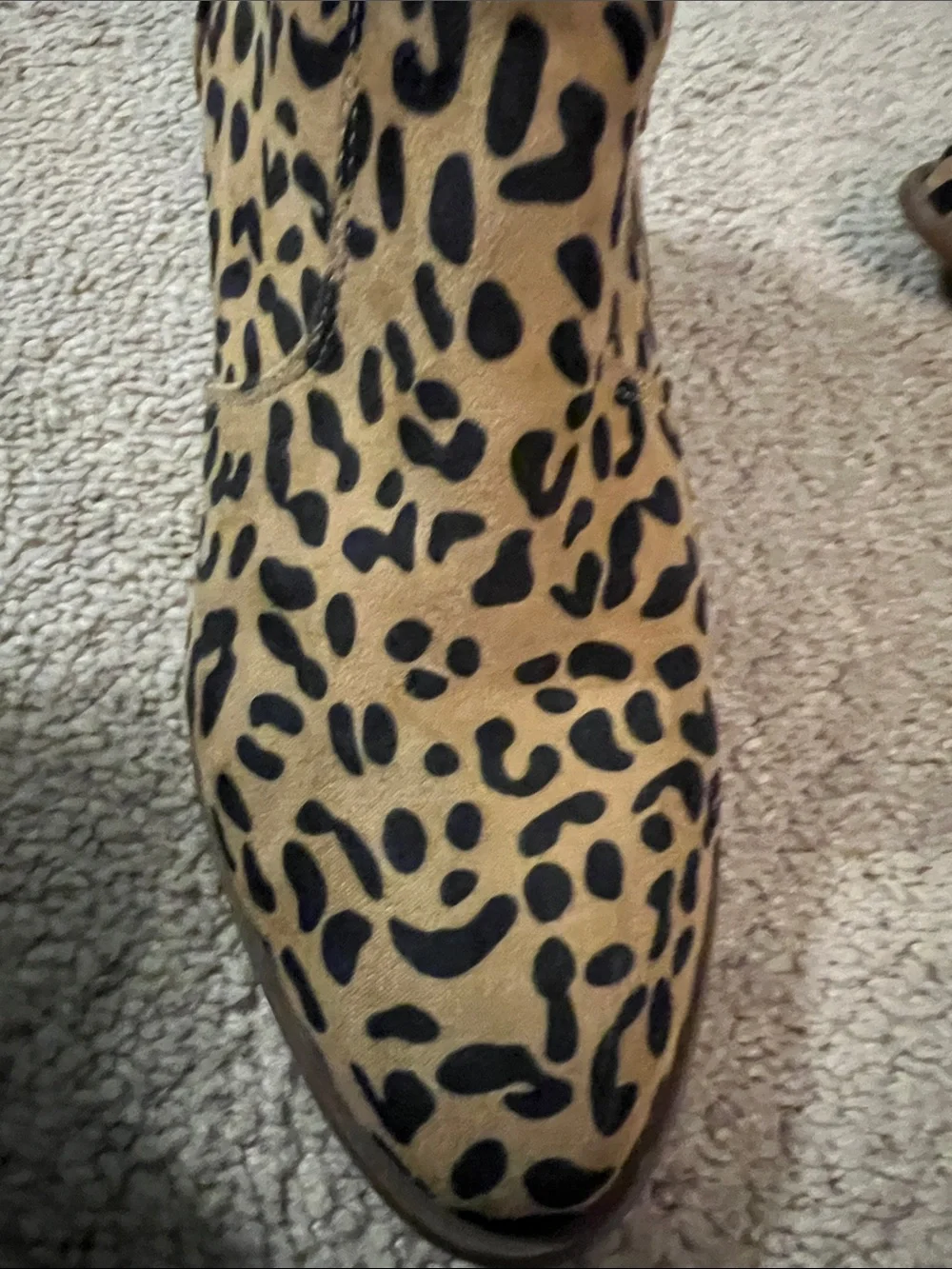 Carlos Santana bold leopard