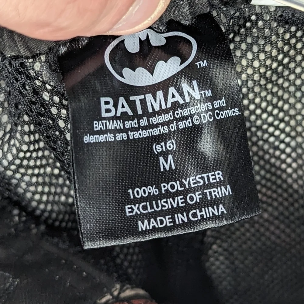 Batman robin swim