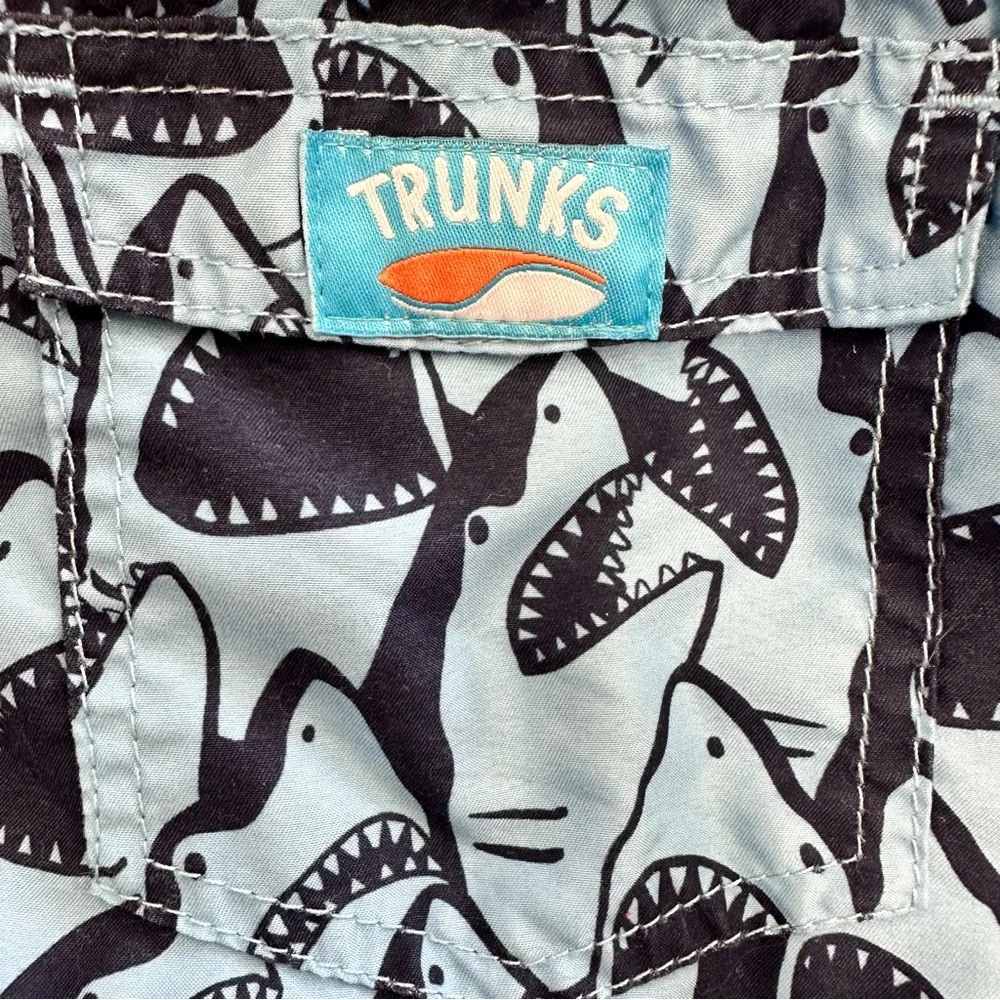 trunks surf swim