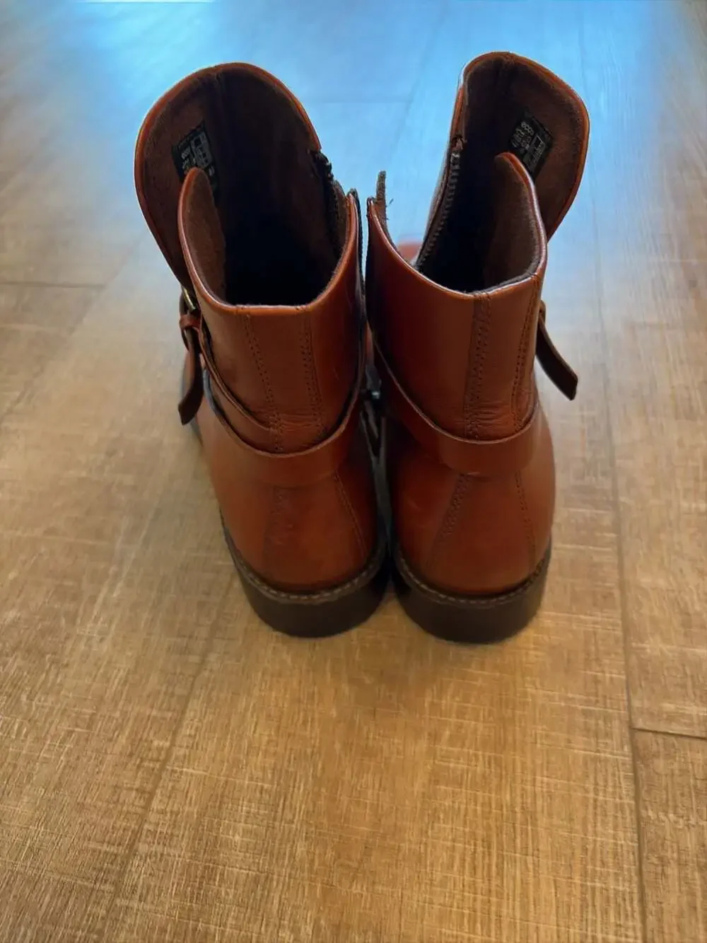 Ecco clearing out