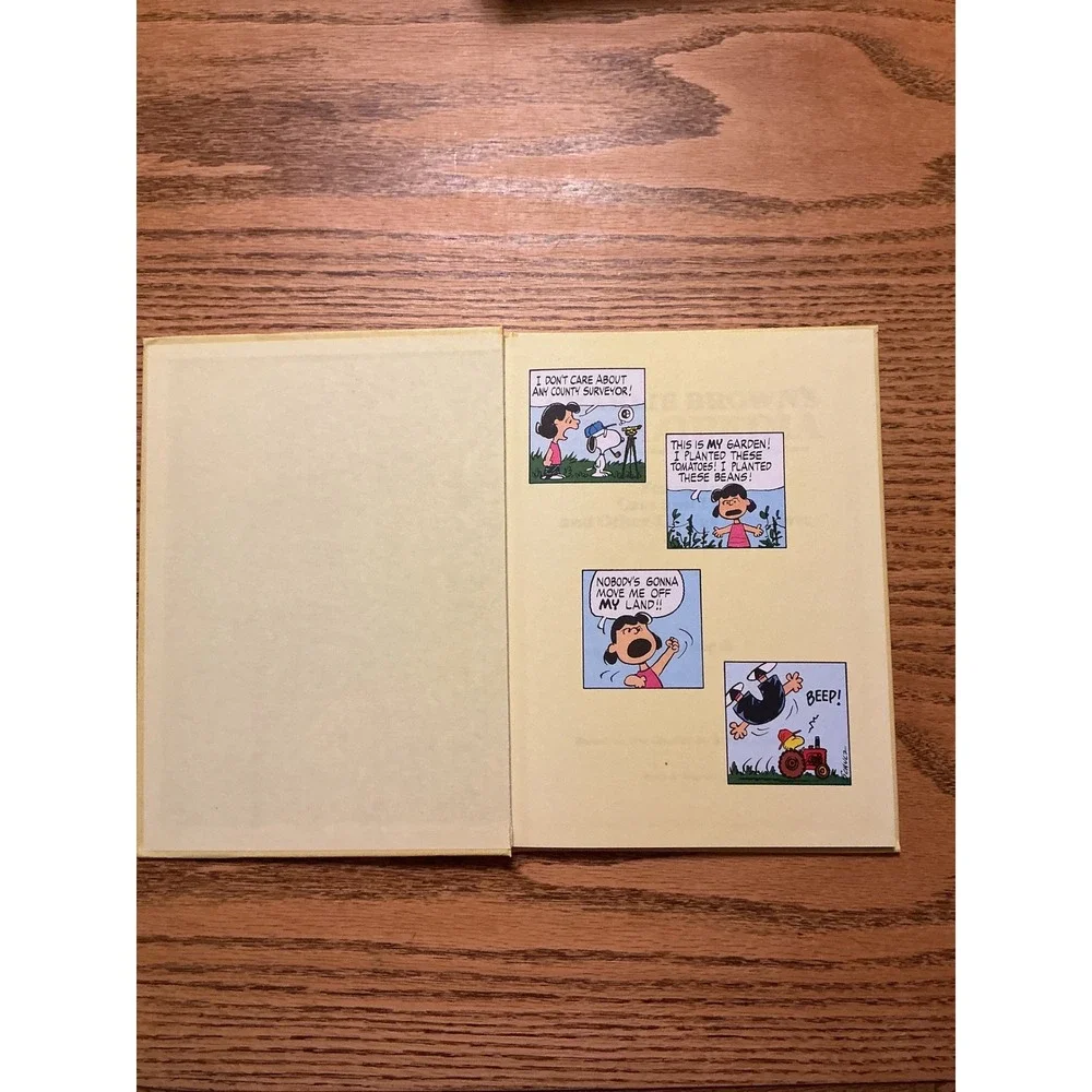 Peanuts vintage 1980