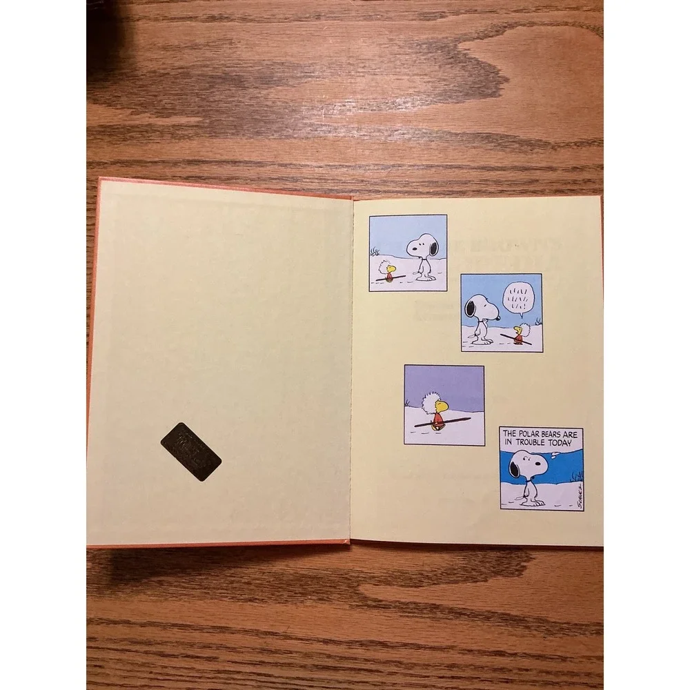 Peanuts vintage 1980