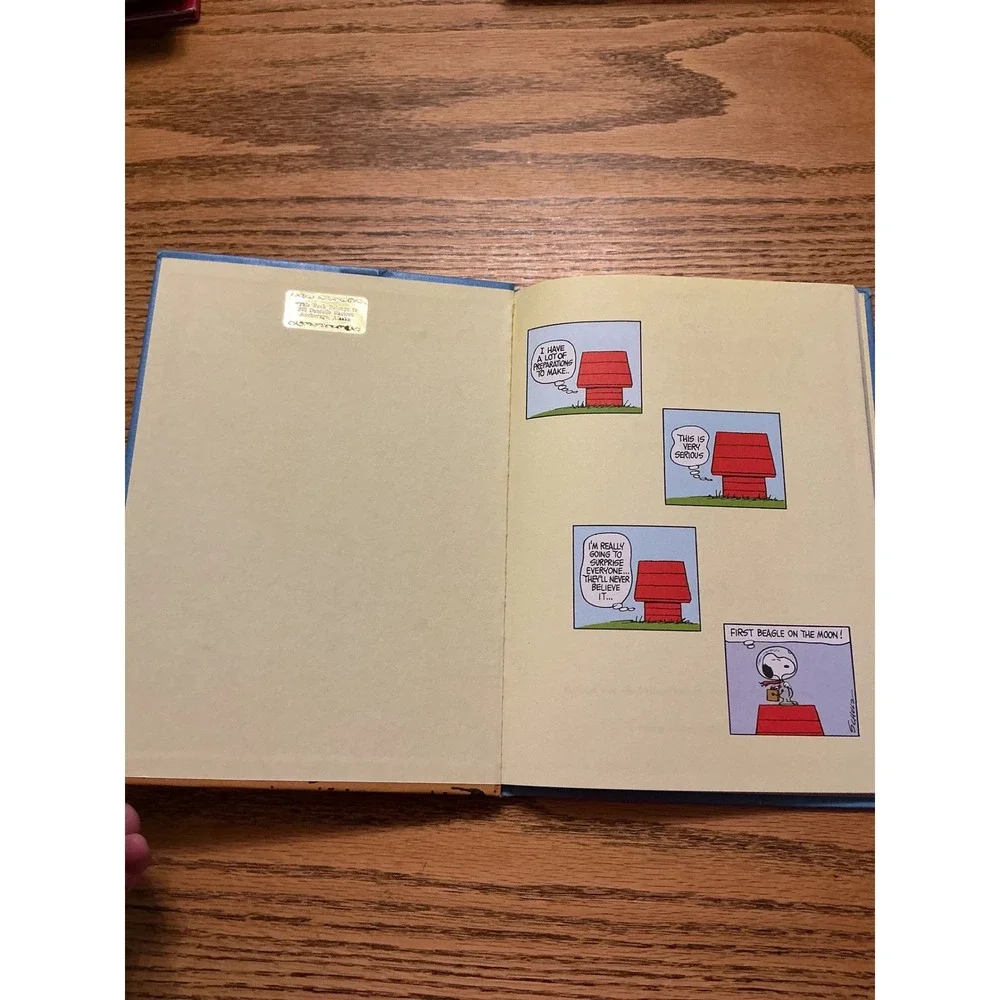 Peanuts vintage 1980