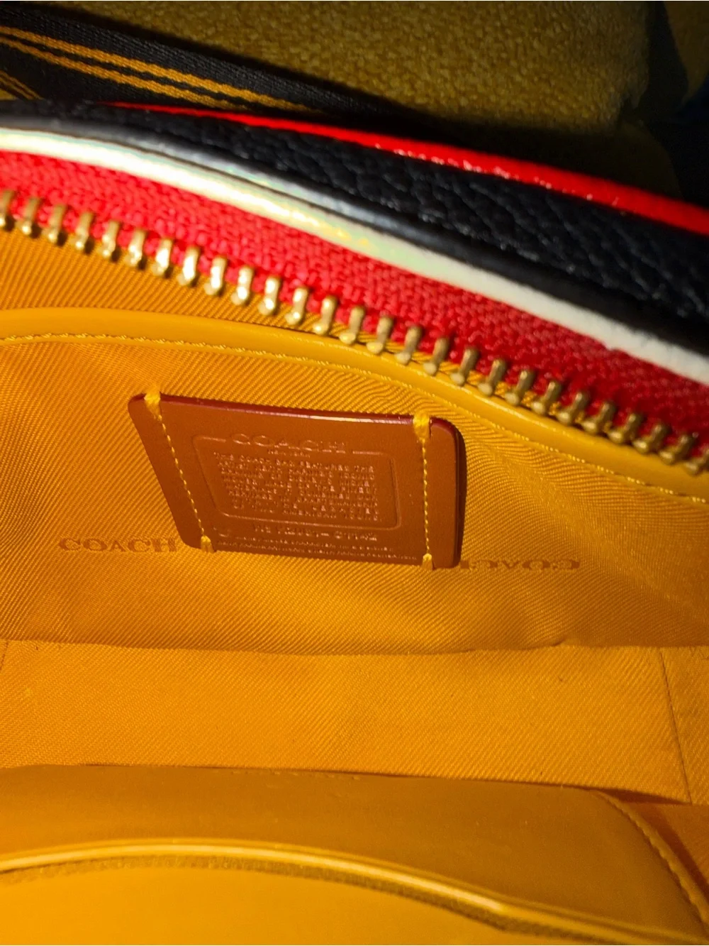 Coach graphic mickey