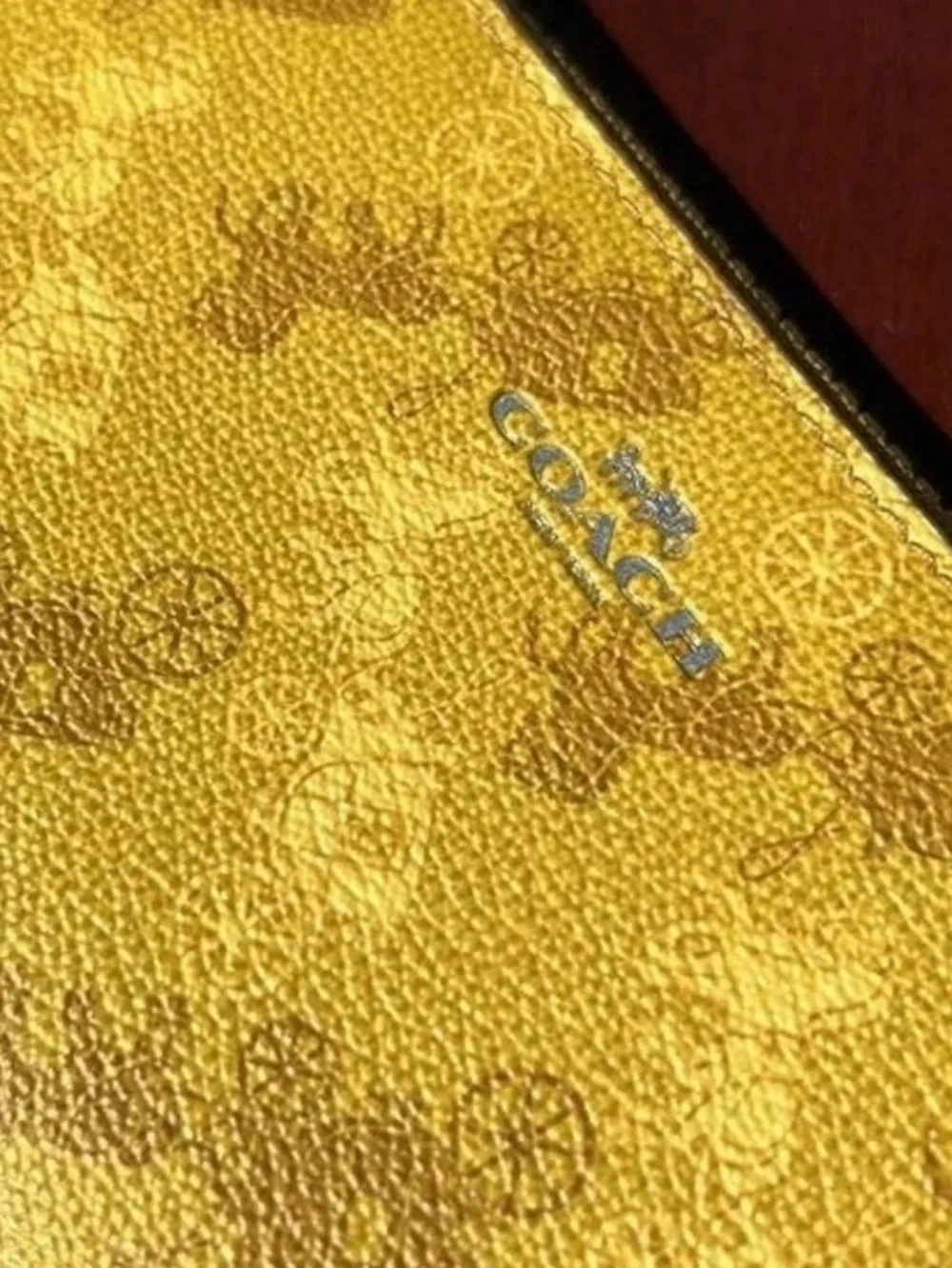 Coach printed coated