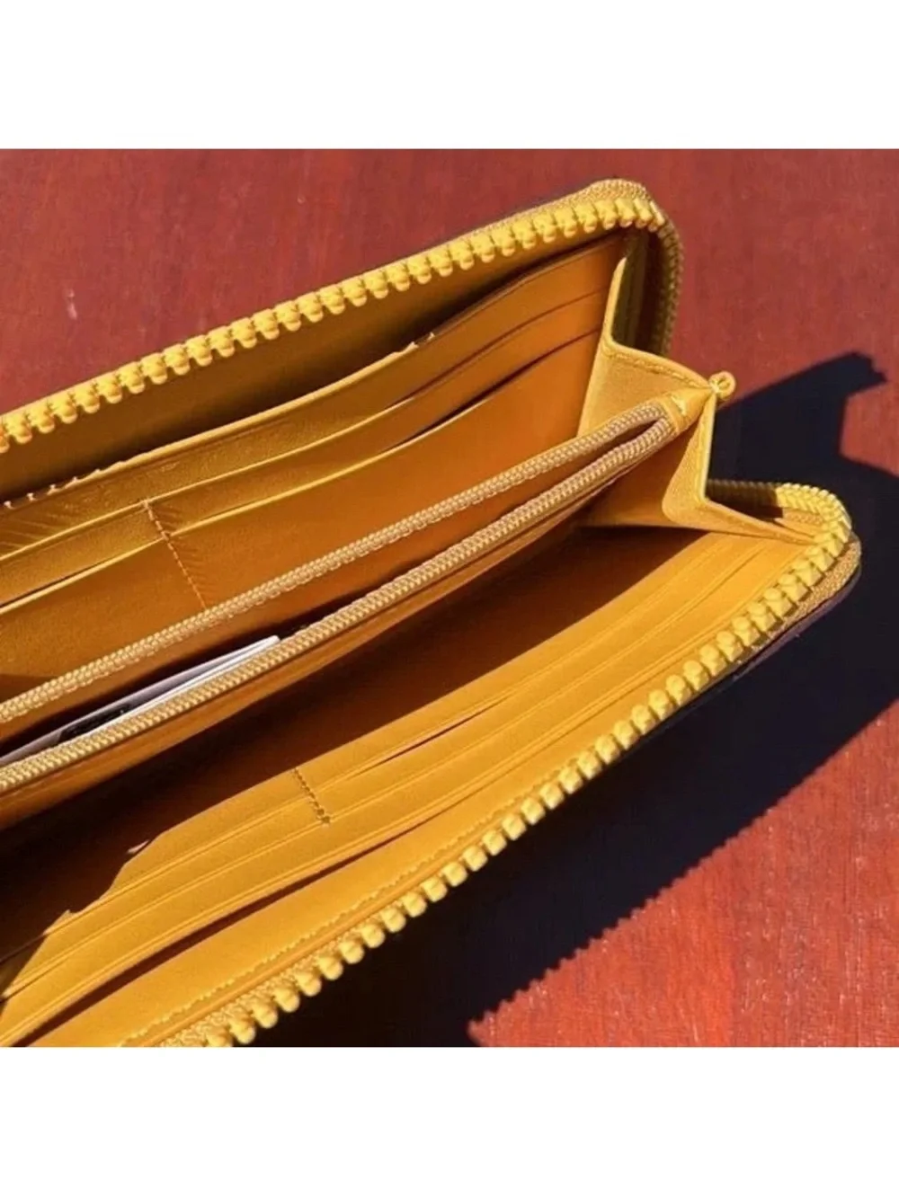 Coach printed coated