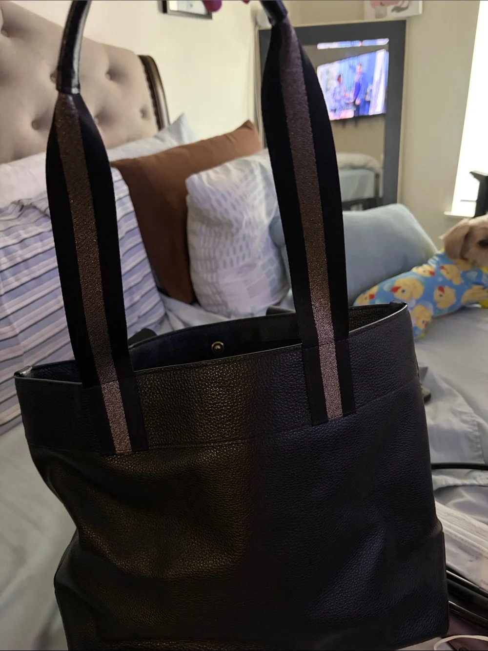Coach sleek black