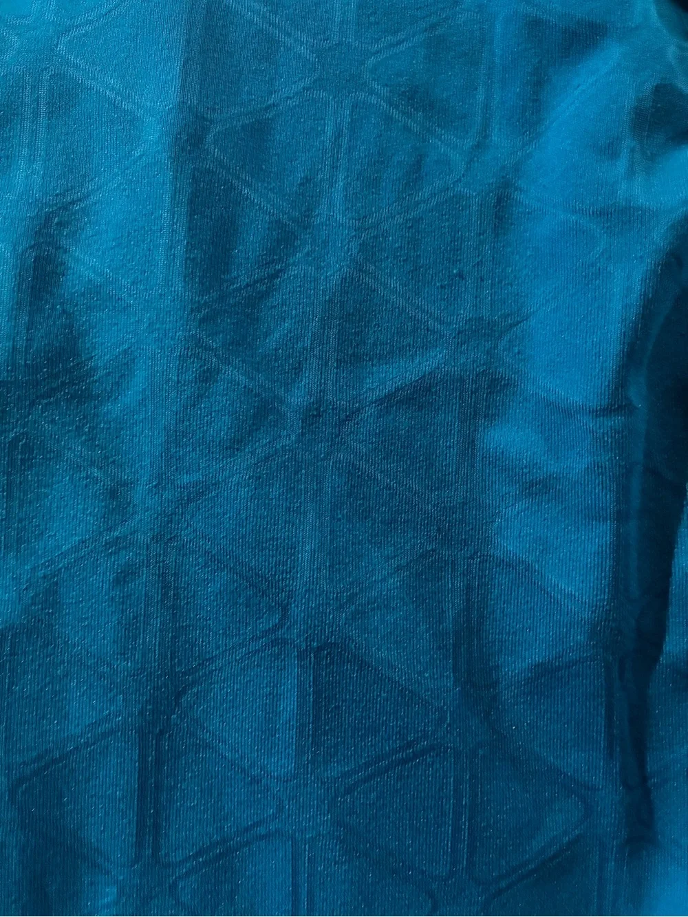 Nike performance blue logo