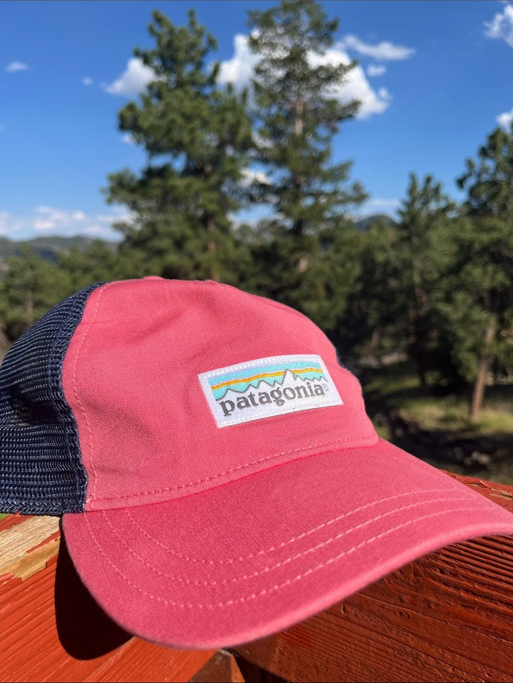Patagonia Pink and Navy Trucker Hat