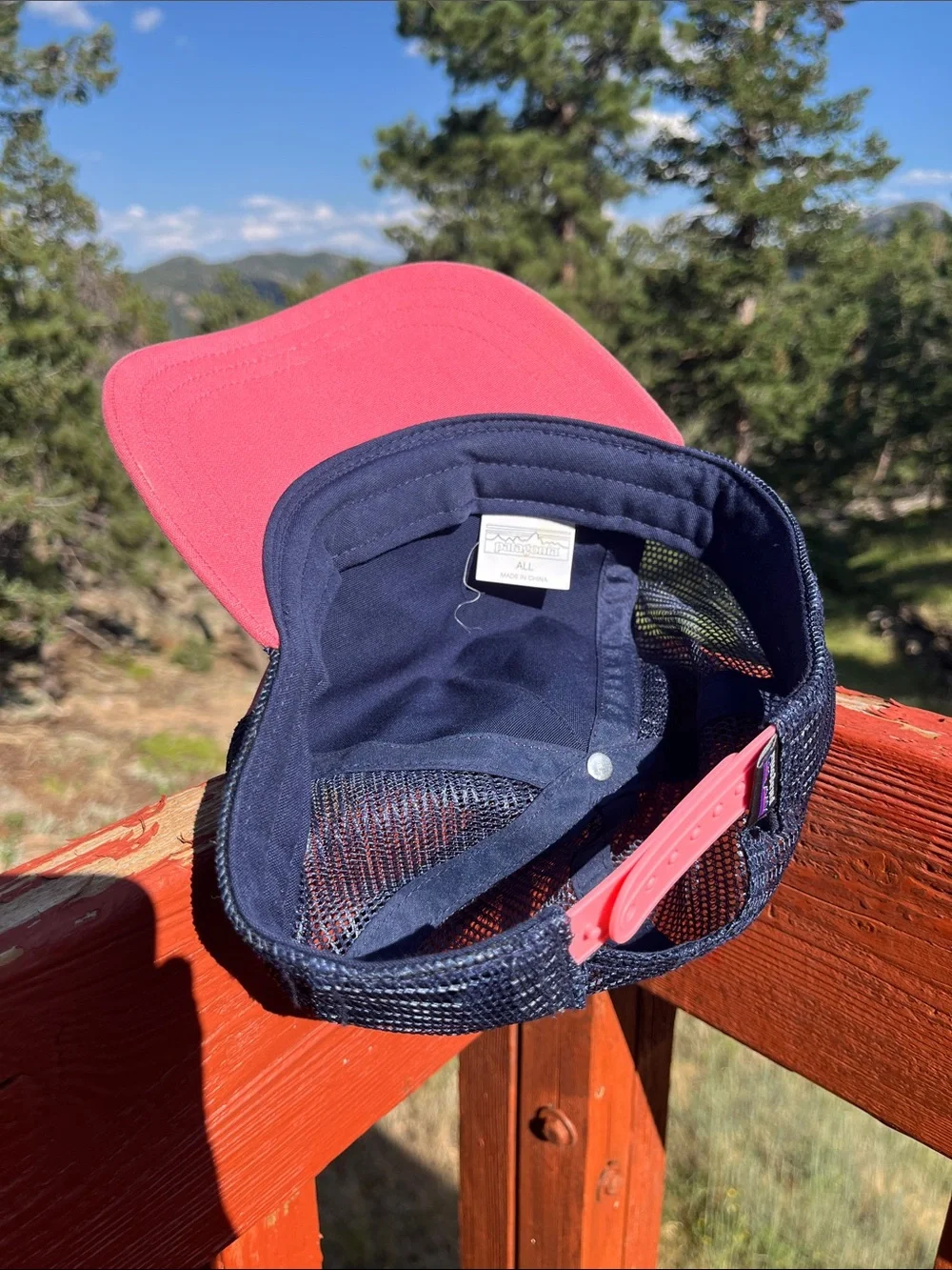 Patagonia trucker hat