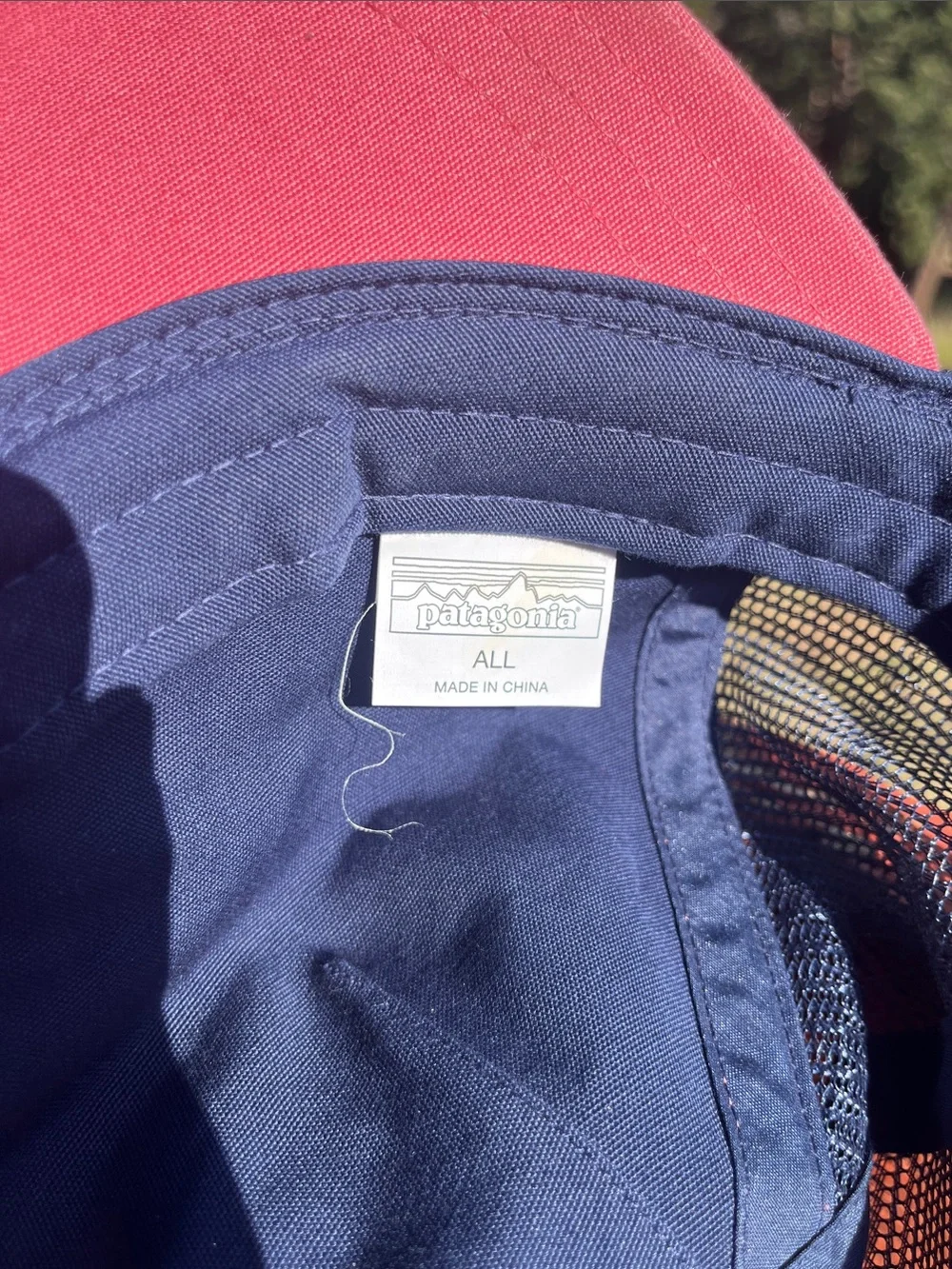 Patagonia trucker hat