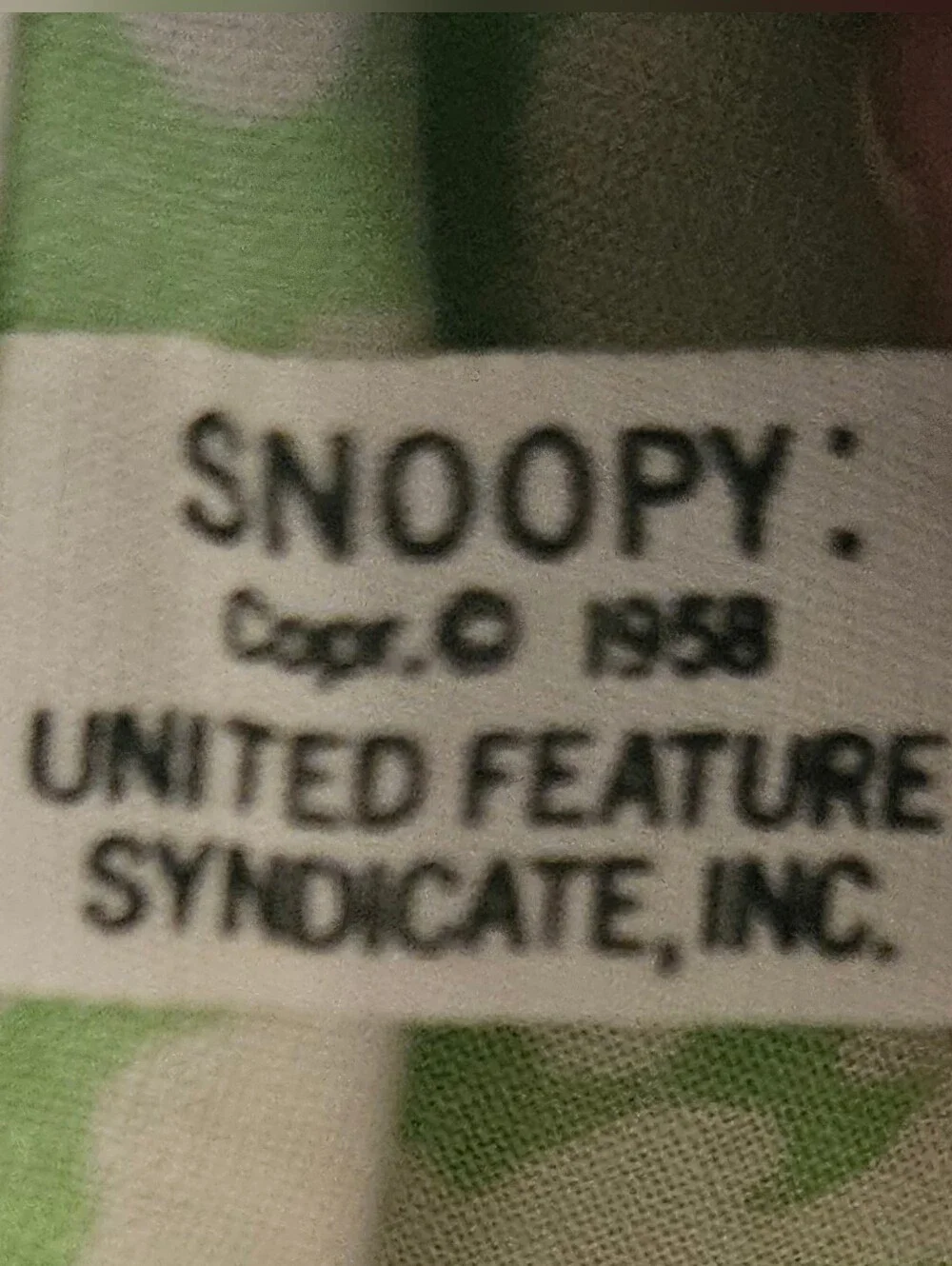Vintage 1970’s Snoopy Pillowcase Charlie Brown Lucy Peanuts Baseball Green White