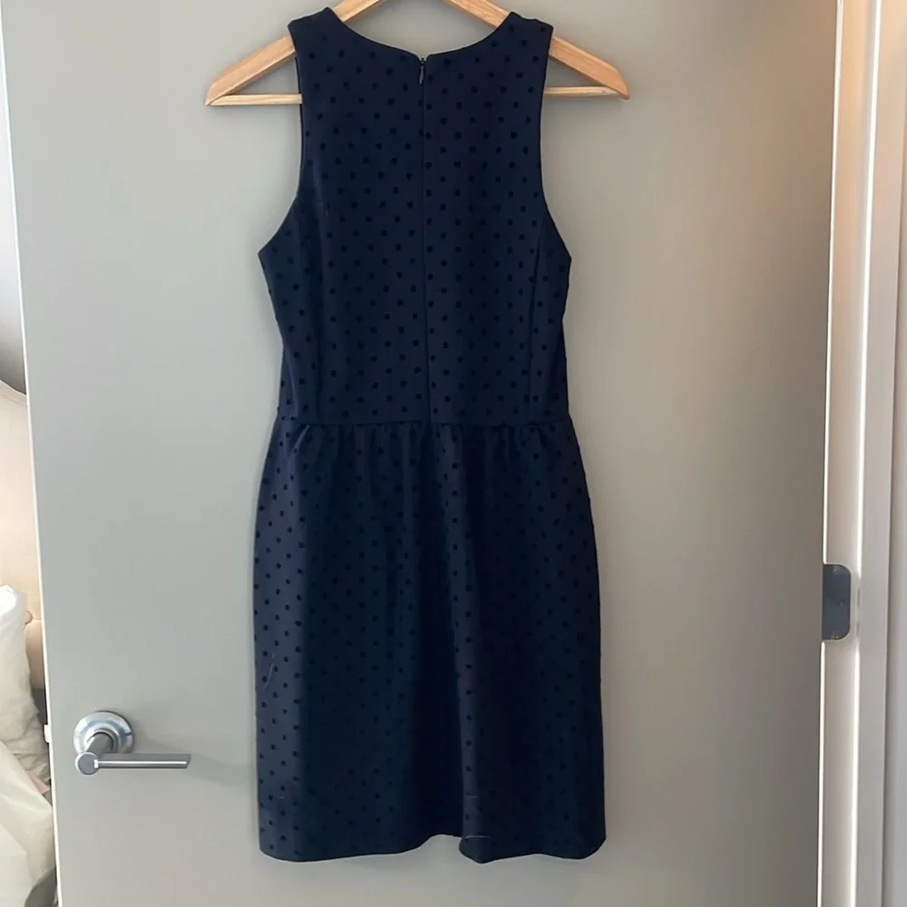 J. Crew crew ponte