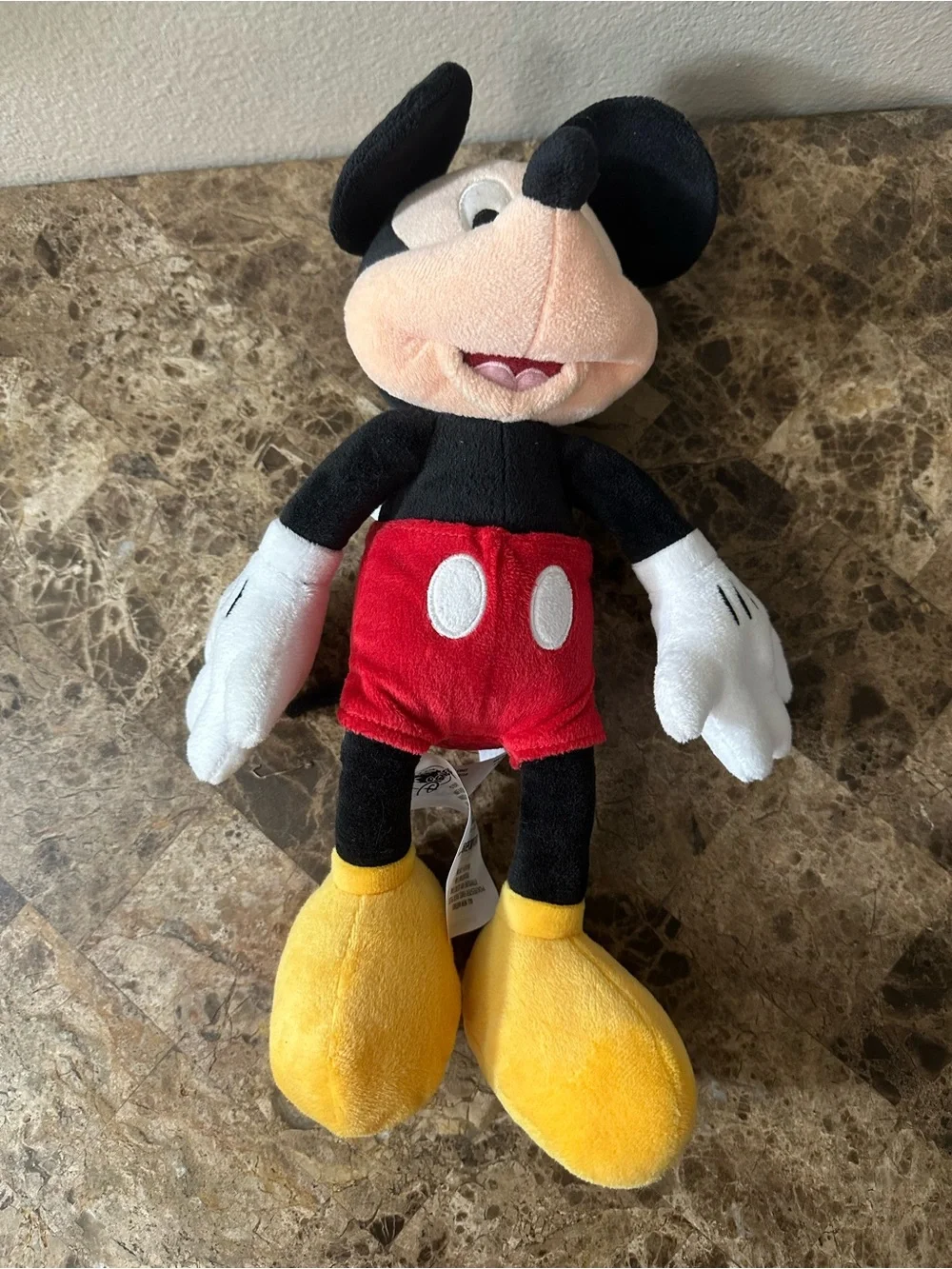 N/A tags mickey