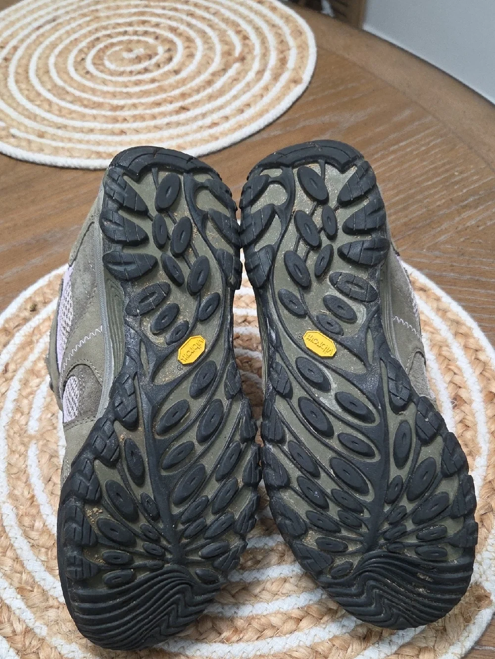 Merrell chameleon arc