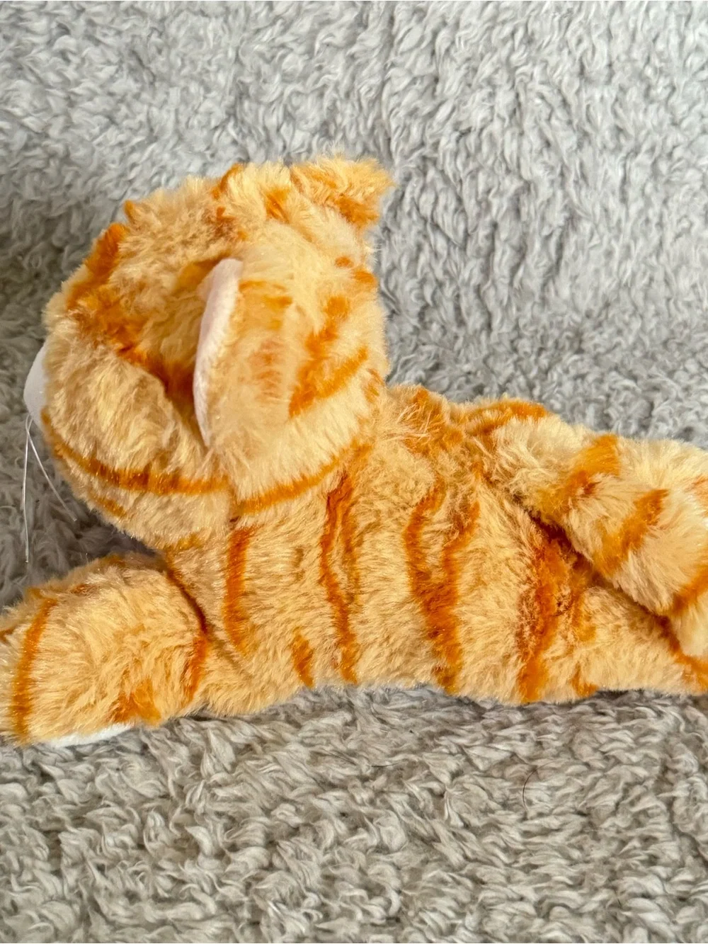 Aurora miyoni cat